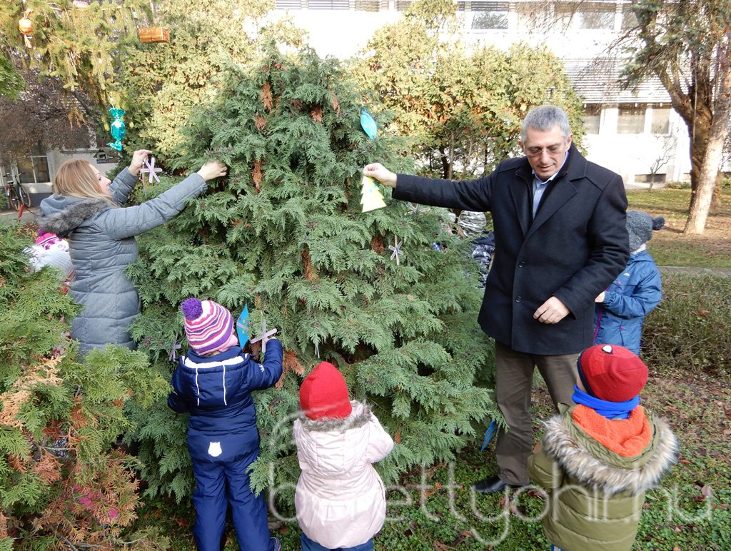 Fenyődíszítés a kórházban 09